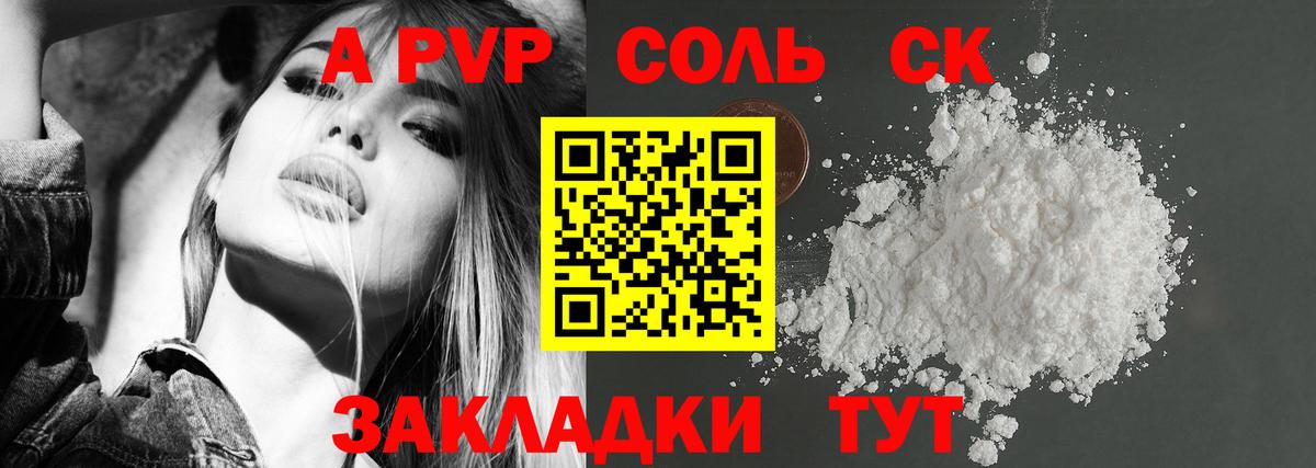 A PVP СК Новосибирск