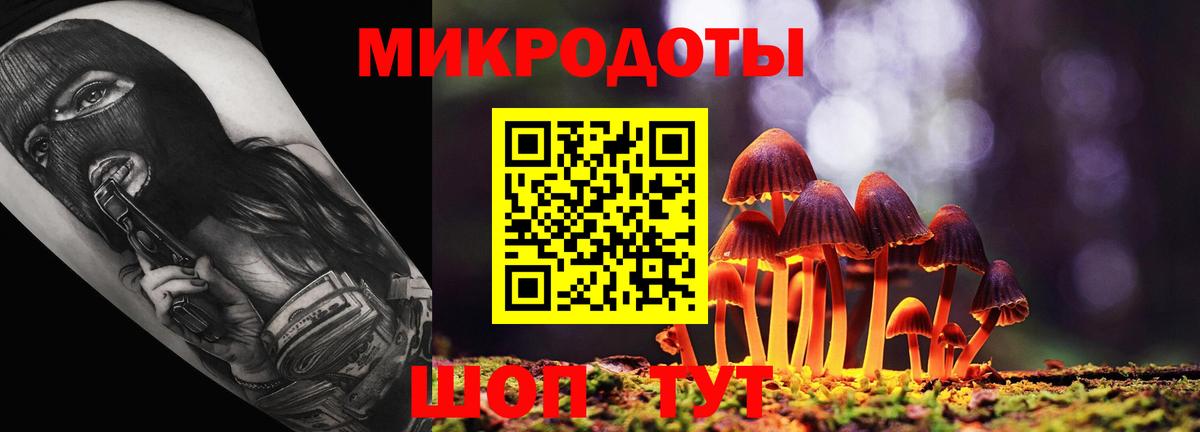 Новосибирск  Псилоцибиновые грибы MAGIC MUSHROOMS  Вход с VPN 